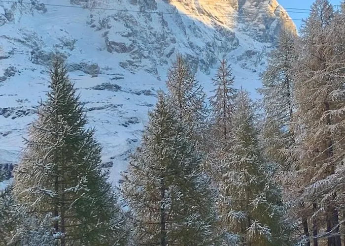 White Star Cervinia 아파트 *